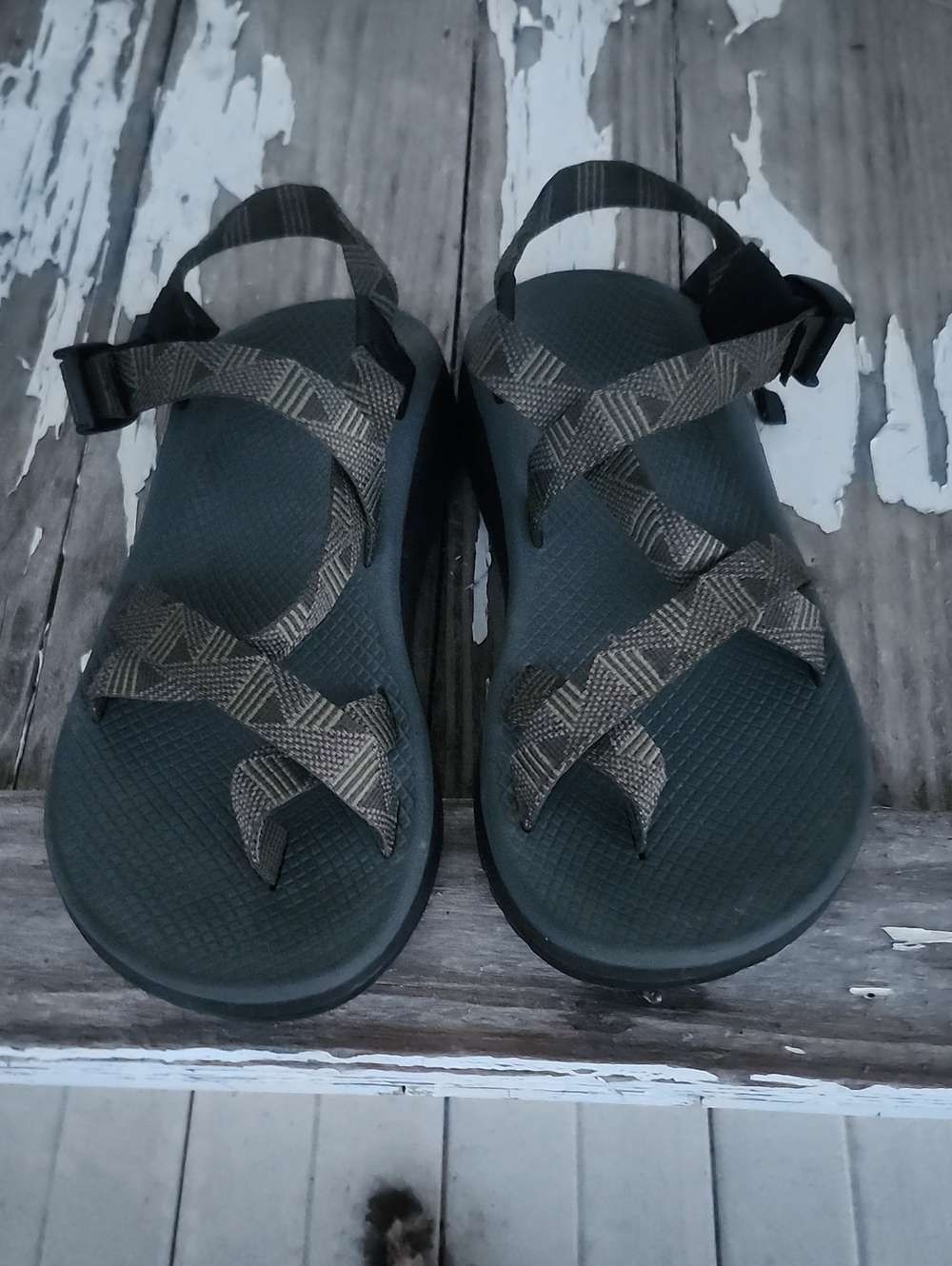 Chaco Olive and Black Webbing Strap Sandals